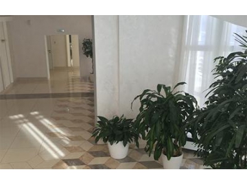 Carrelage imitation marbre  dans le département des affaires civiles, Russie