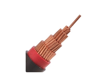 Câble N2XY 0.6/1 kV (CU/XLPE/PVC)