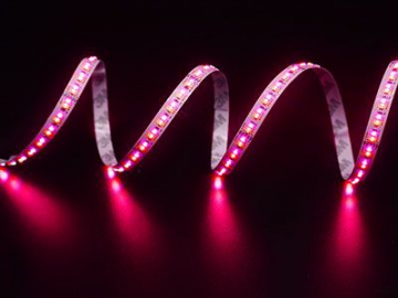 Ruban LED multicolore (RGB   CCT)