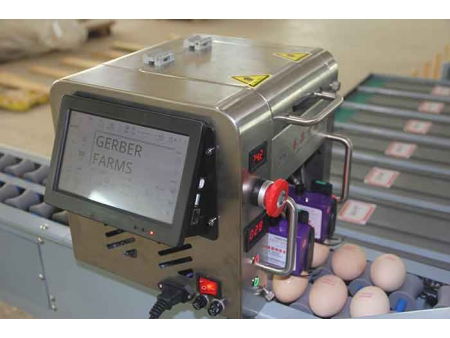 Calibreuse d'œufs 101B (4000 OEUFS/HEURE)