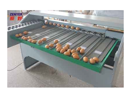 Calibreuse d'œufs 101A (4000 OEUFS/HEURE)