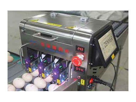 Calibreuse d'œufs 102A (5400 OEUFS/HEURE)