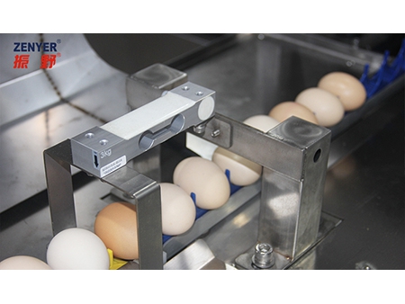 Calibreuse d'œufs 104B (10000 OEUFS/HEURE)