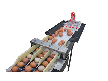 Calibreur d'œufs 102BS (5400 OEUFS/HEURE)