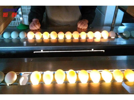 Machine à laver les œufs 203B (20000 OEUFS/HEURE)