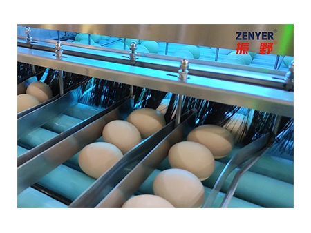 Calibreuse d'œufs 109 (30000 ŒUFS/HEURE)