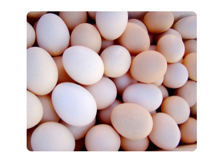Ligne de traitement d'œufs de canard 302BSS avec Chargement au bain d'eau & Lavage & Calibrage (10000 ŒUFS/HEURE)