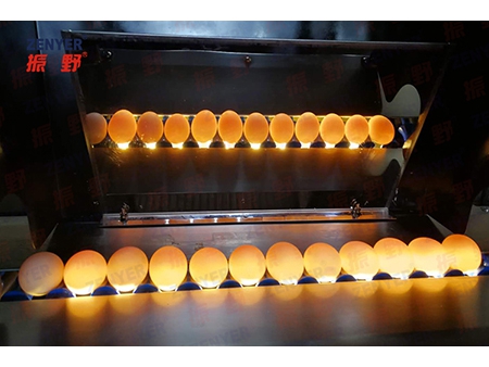 Machine à laver les œufs 201A (5000 OEUFS/HEURE)