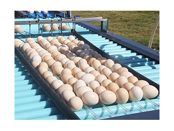 Machine à laver les œufs 203A (20000 OEUFS/HEURE)