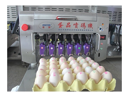 Machine de marquage d'œufs 406H