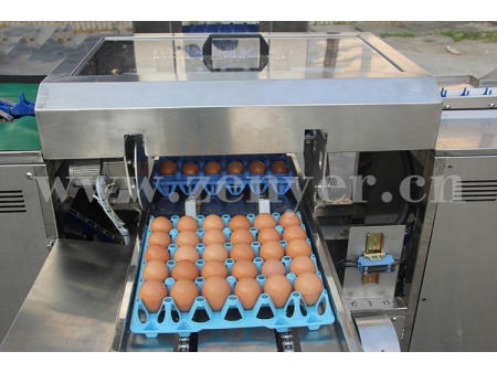 Machine d'emballage des œufs 710 (10000 OEUFS/HEURE)