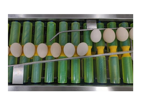 Emballeuse à œufs 710C (10000 OEUFS/HEURE)