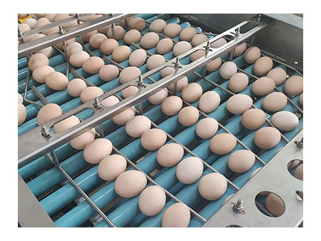 Emballeuse à œufs 713A (27000 OEUFS/HEURE)
