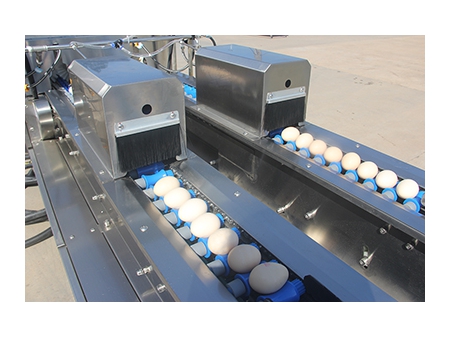 Ligne de traitement des œufs 303A avec Nettoyage, Calibrage & Emballage automatique (20000 ŒUFS/HEURE)