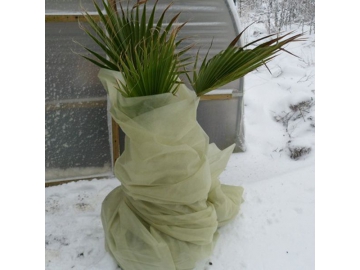 Voile d'hivernage / Polaire pour la protection des plantes