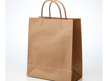 Équipement de fabrication de sacs en papier pour  Sacs en papier de pâte vierge