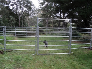 Enclos pour moutons