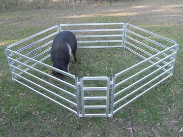 Enclos pour moutons