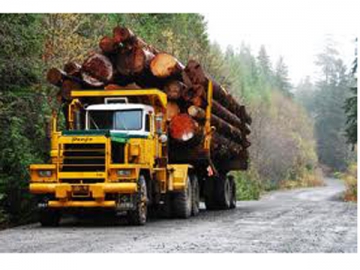 Camion de transport pour bois bruts