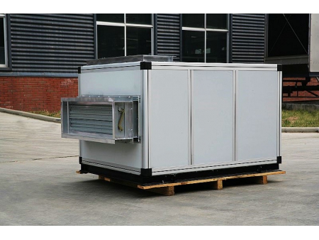 Unité de traitement d'air Type combiné
