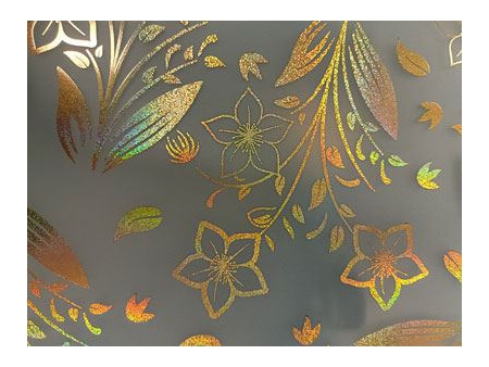 Verre dépoli à motifs artistiques