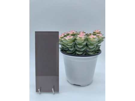 Verre laqué