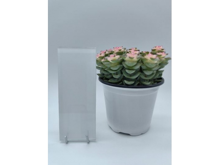 Verre laqué