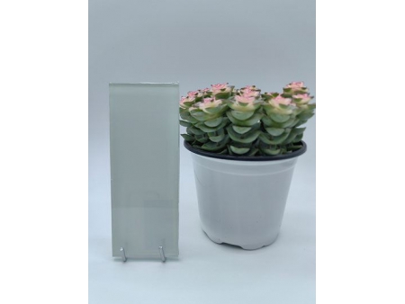 Verre laqué