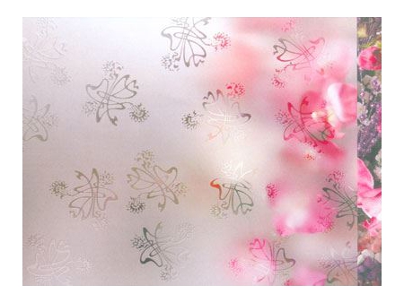 Verre dépoli acide aspect sablé avec motif