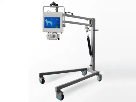 Système de radiographie vétérinaire SHO-PX/Appareil de radiologie vétérinaire SHO-PX