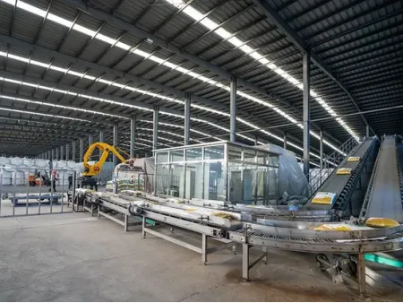 Ensacheuse automatique Ensacheuse automatique