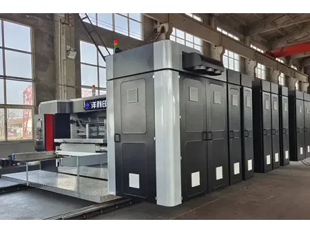 CZYL-B Formeuse de carton semi-automatique