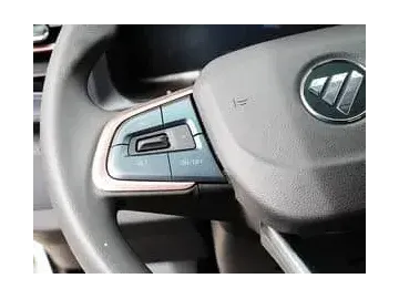 Camion léger (Foton)