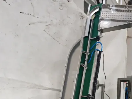 Machine de bouchage automatique sous vide / Capsuleuse sous vide pour bouchons à ergots