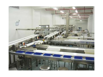 Système de chargement automatique de biscuits (pour emballage secondaire)