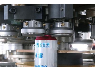 Remplisseuse capsuleuse pour boisson