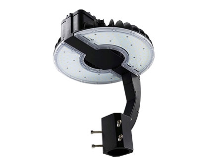 Projecteur extérieur LED de jardin
