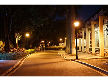 Projecteur extérieur LED de jardin