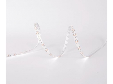 Ruban LED flexible de maison  8mm 24V D6300H