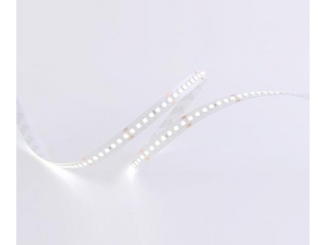 Ruban LED flexible d’intérieur  10mm 24V D8168