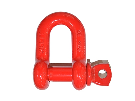Manille lyre – acier allié G8