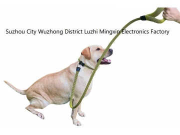 Laisse et Collier pour chien (Breveté dans l’UE, Chine)