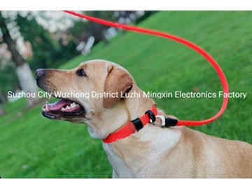 Laisse et Collier pour chien (Breveté dans l’UE, Chine)