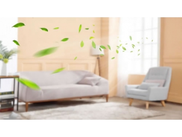 Climatiseur mural