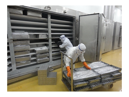Surgélateur à plaques à rayonnage (avec compresseur)