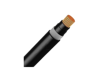 Câble NYRY 0.6/1 kV (CU/PVC/SWA/PVC)