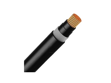 Câble N2XRY 0.6/1 kV (CU/XLPE/SWA/PVC)