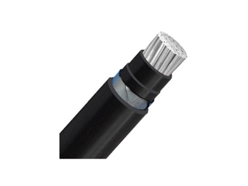Câble NA2XBY 0.6/1 kV (AL/XLPE/STA/PVC)
