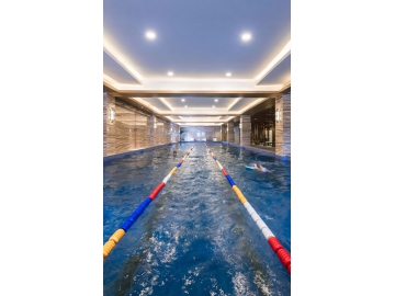 Ruban LED SMD 2835 d’intérieur blanc IP20 haute efficacité
