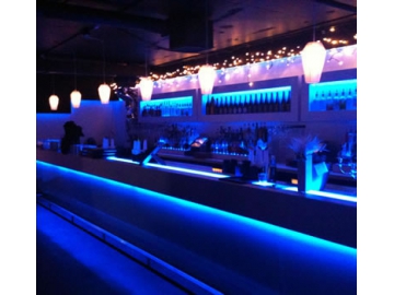 Néon flexible LED RGW Blanc